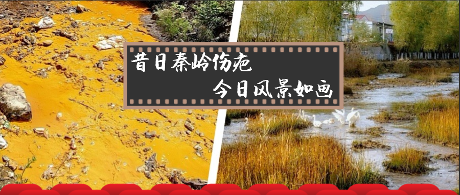 比照图.png