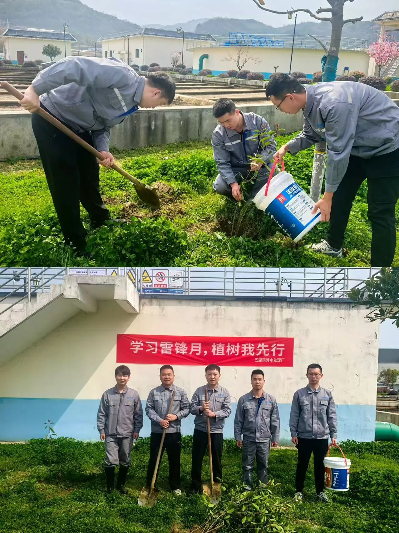 水情形公司权属各企业开展植树节运动